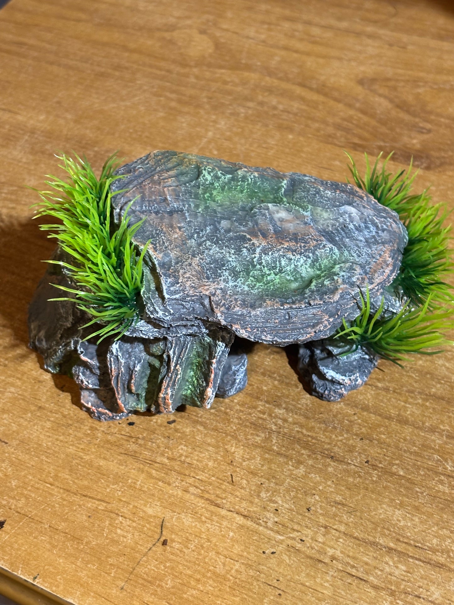 Fake rock hide for small juvenile tarantulas.