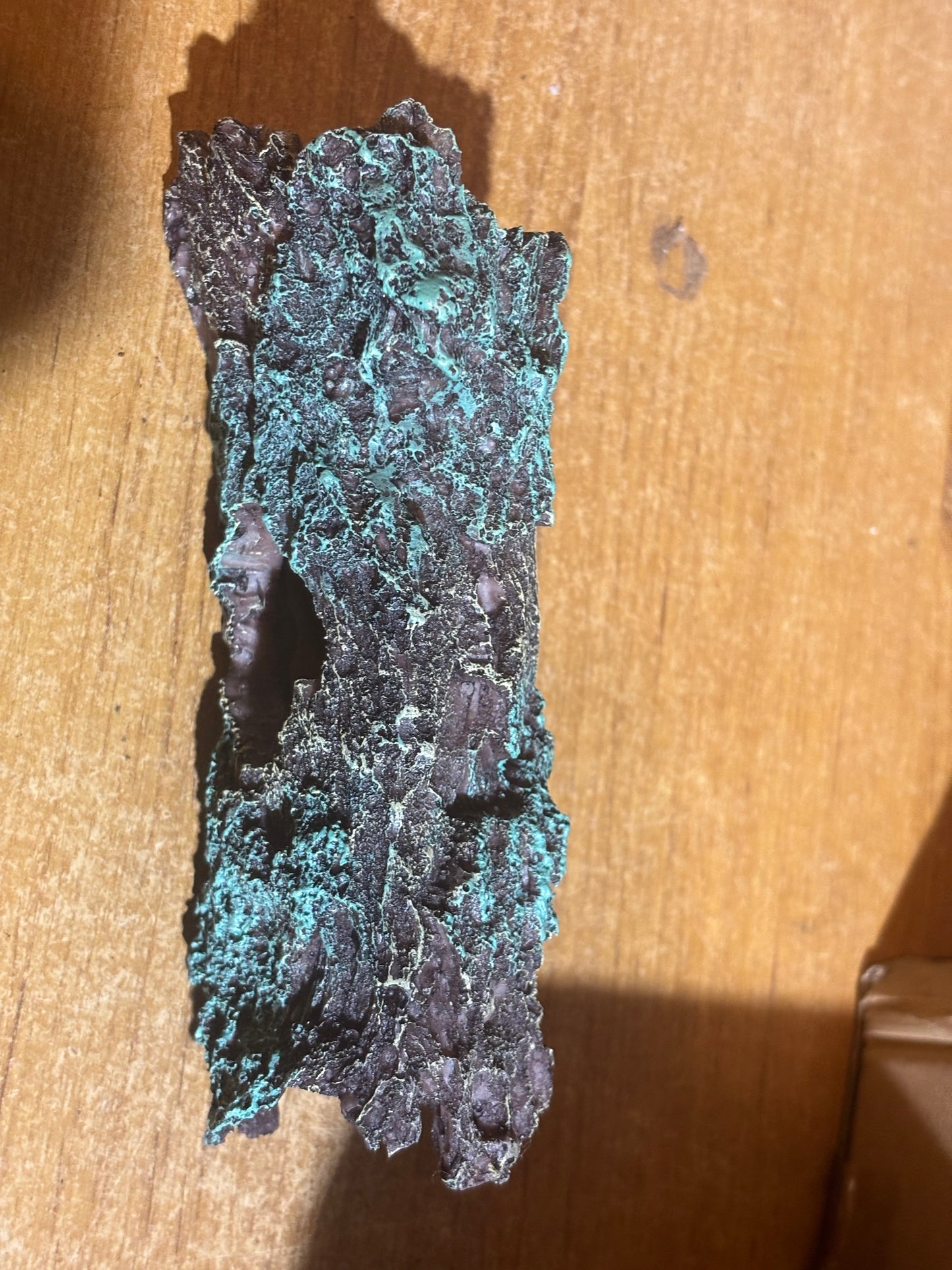Fake log hide for small tarantulas and other species.