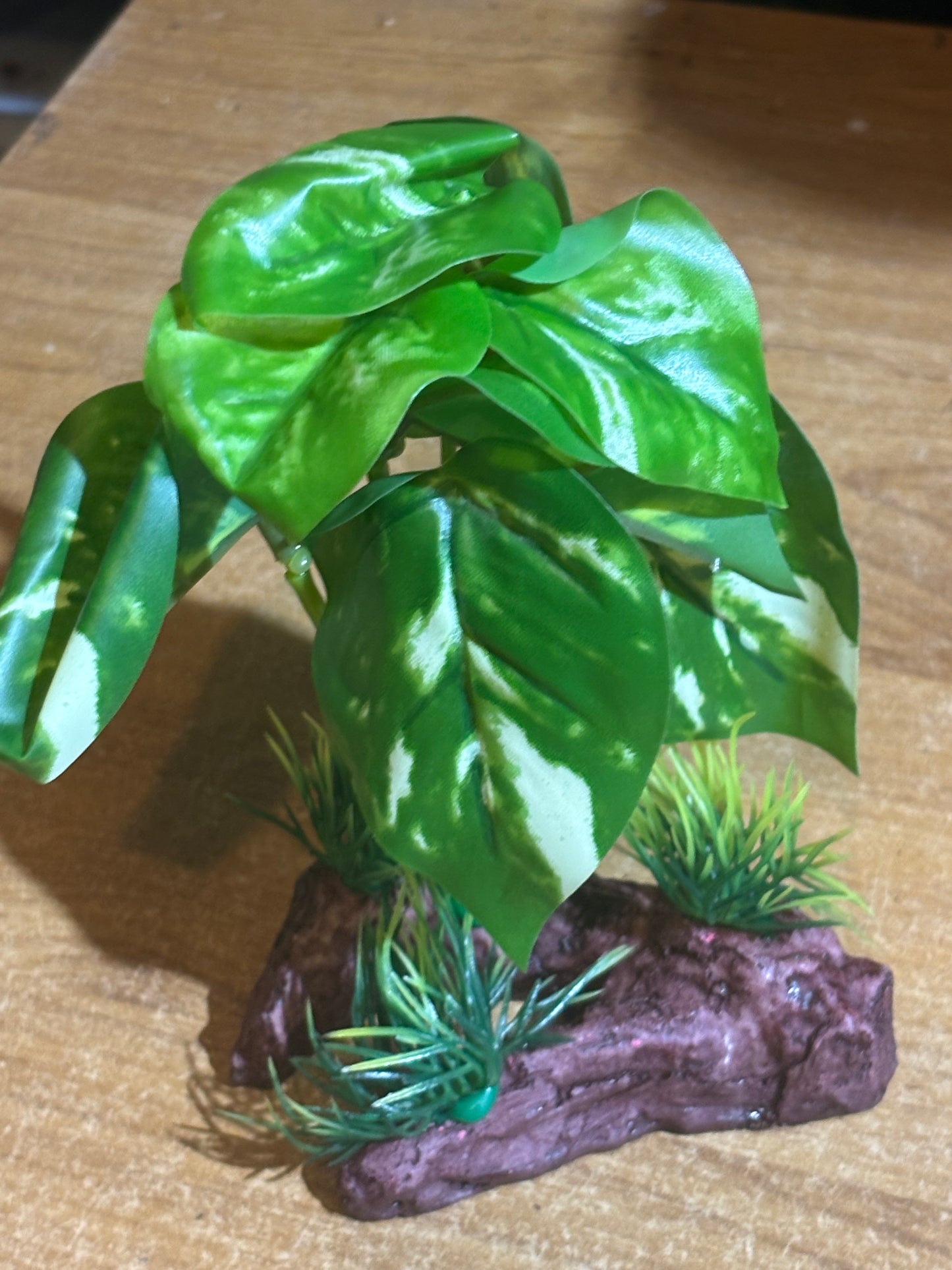 Fake plant .