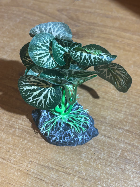 Small fake plant.